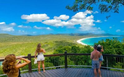 South Whitehaven Beach and Lookout