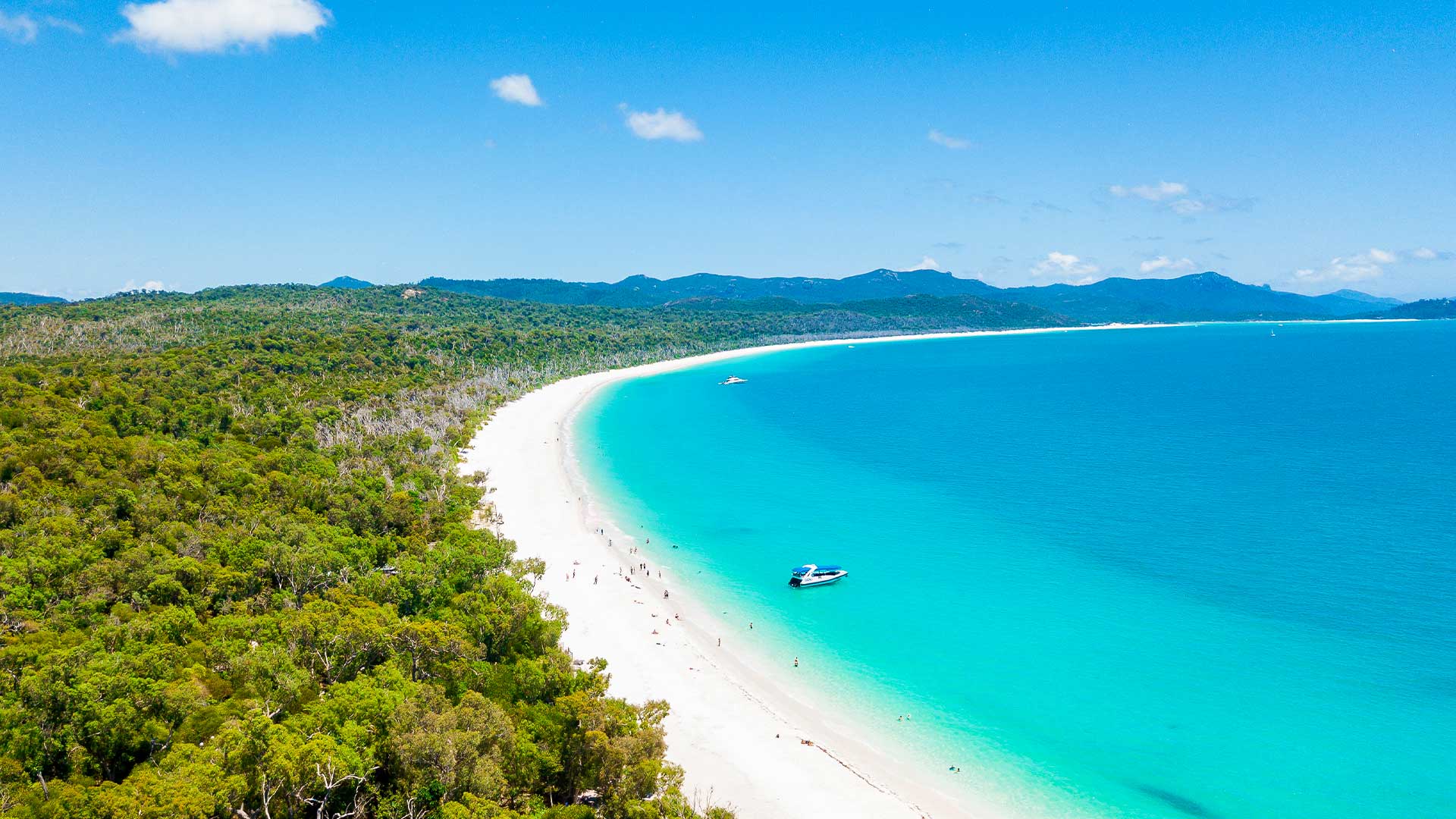 Whitehaven beach from airlie beach