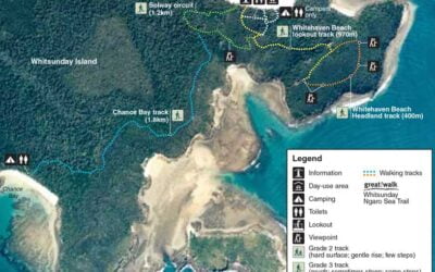 Whitehaven Beach Map