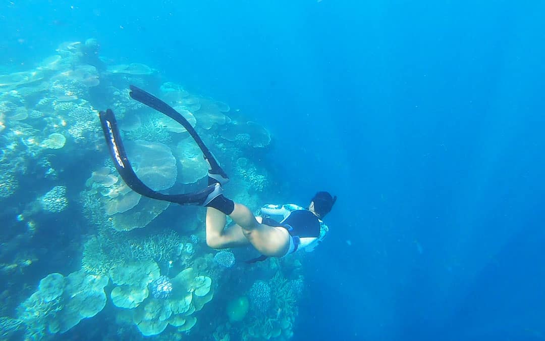 Freediving in the great barrier reef marine park