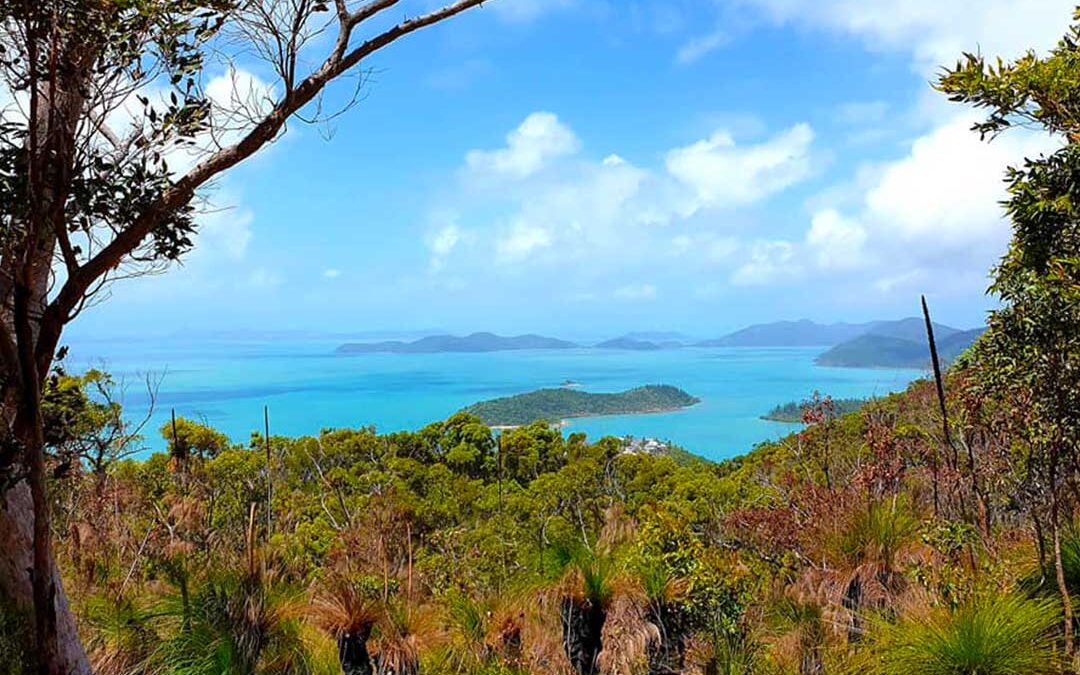 Conway National Park