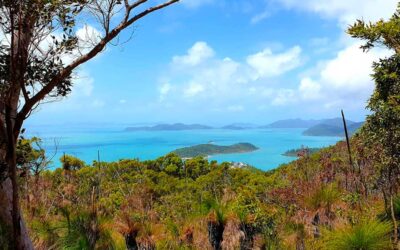 Conway National Park