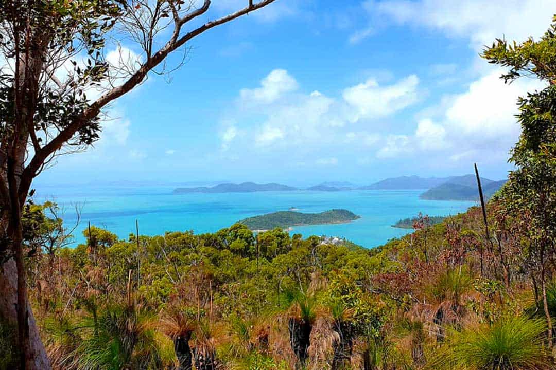 Conway National Park Mount Rooper Lookout