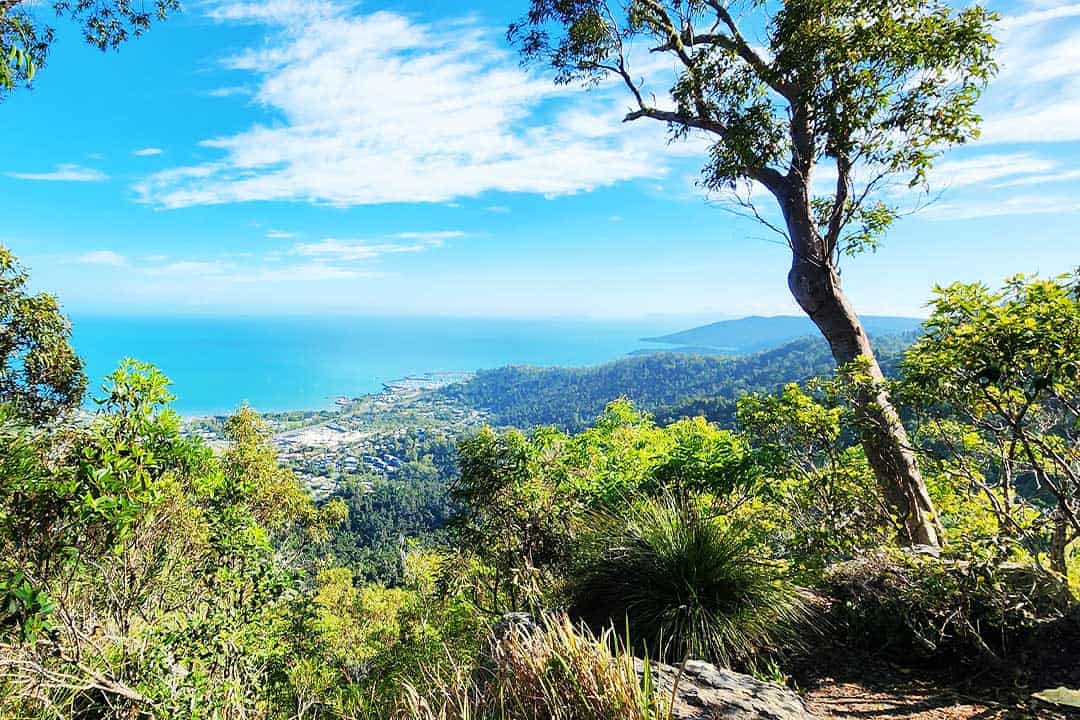 Honey Eater Lookout View Over Airlie Beach QLD 4802 Australia