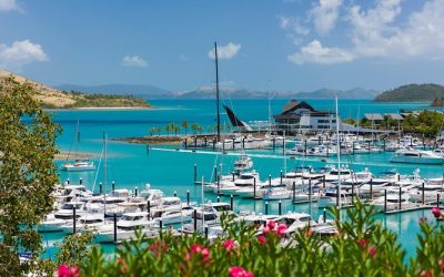 Beach and Hamilton Island Cruise
