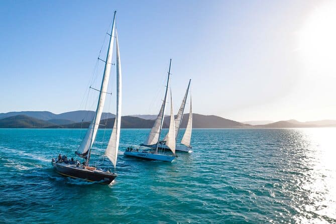 all 3 prosail boats