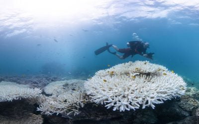 Threats To The Great Barrier Reef Marine Park