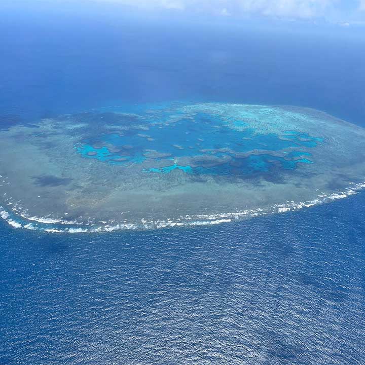 Reef + Whitehaven Beach Whitsundays Scenic Flight (70 Min)