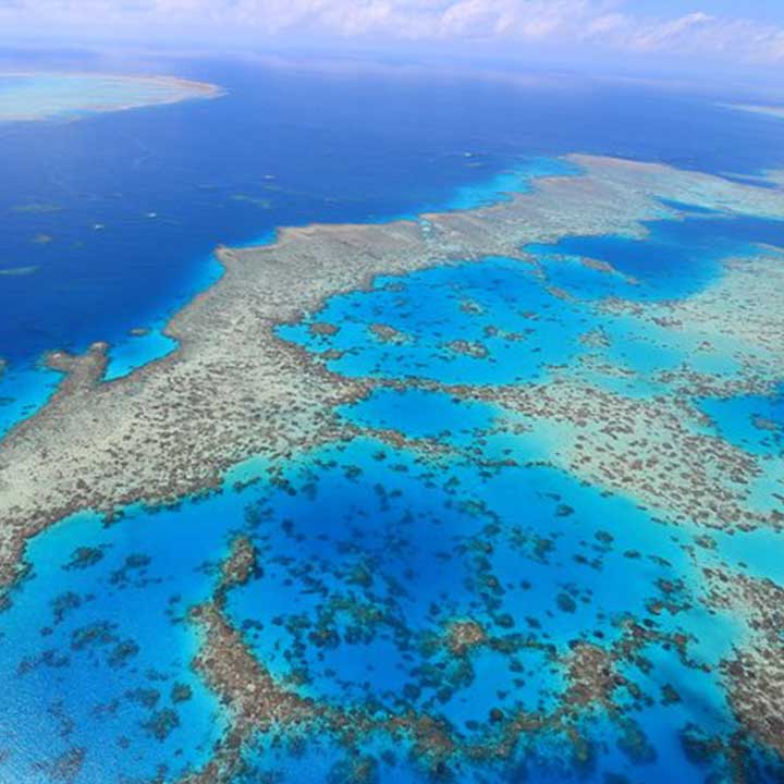great barrier reef