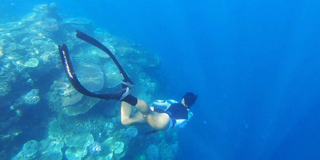 Guest snorkelling at a Great Barrier Reef Tour
