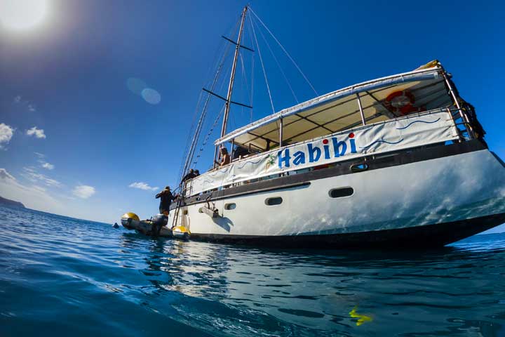 The boat ready to take guests snorkelling in the Whitsunday Islands