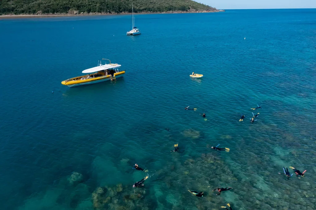 Big Fury at a snorkelling location on a coral reef