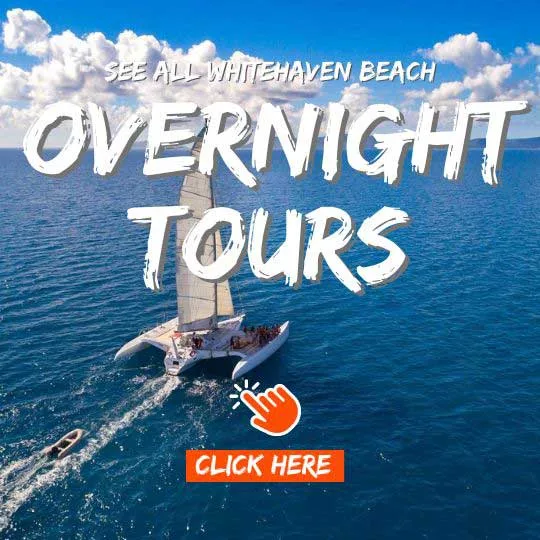 Sailing vessel named Avatar sailing in the Whitsunday Islands. Click  here to see all overnight Whitehaven Beach Tours