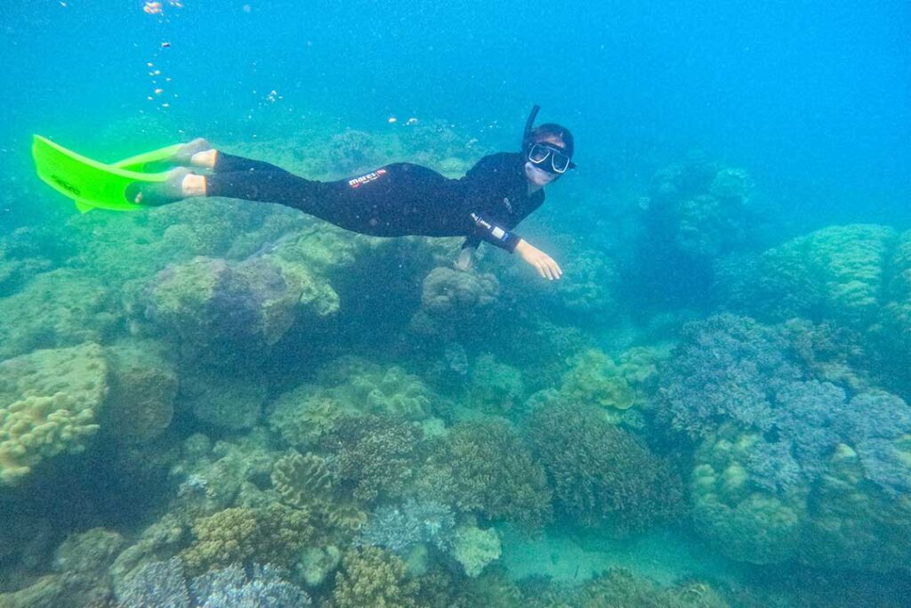 Person with green fins and wetsuit snorkelling underwater in the Whitsunday Islands