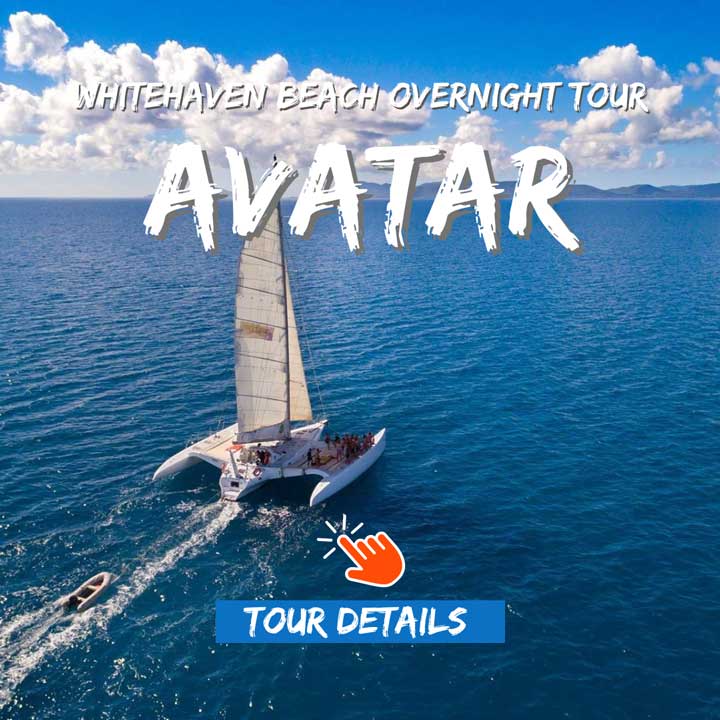 Sailing Tour "Avatar Whitsundays" sailing in the Whitsunday Islands with guests onboard