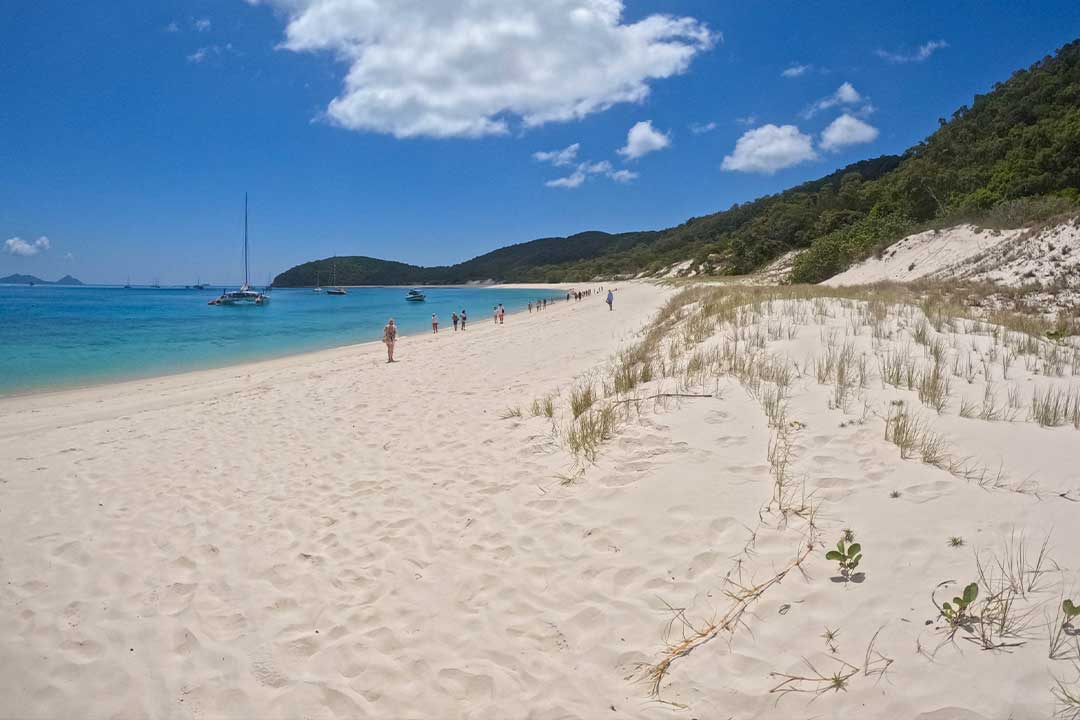 Looking over the silica sand and clear waters at Chalkies Beach Whitsundays