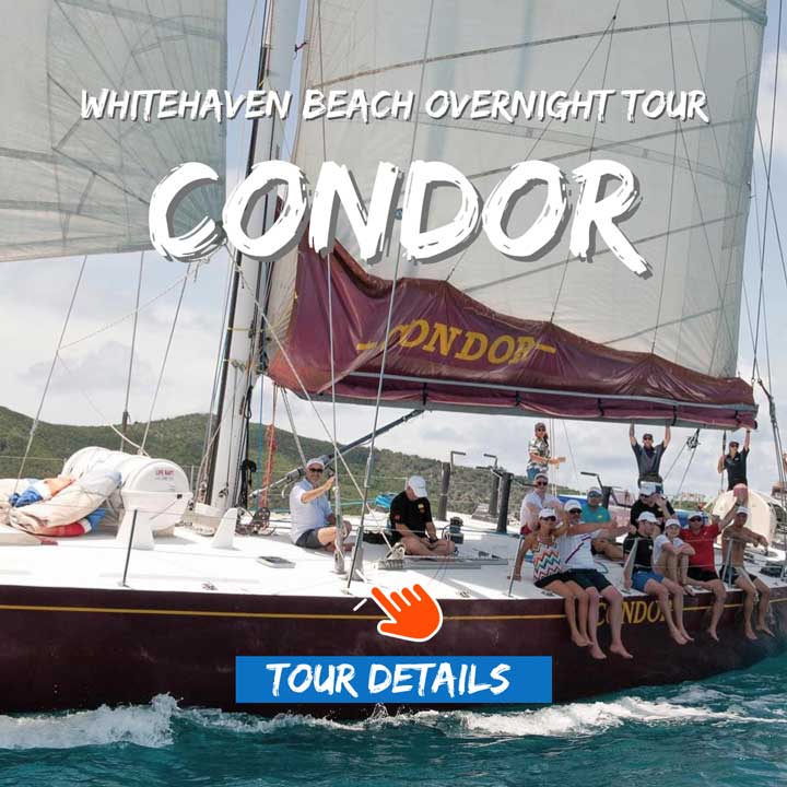 Condor Whitsundays Sailing vessel
