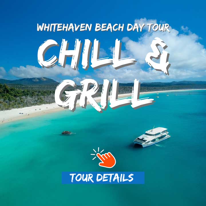 Cruise Whitsundays Chill And Grill tour boat anchored off Whitehaven Beach on a sunny day