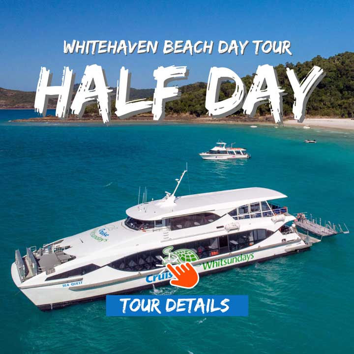Cruise Whitsundays Half Day Tour to Whitehaven Beach