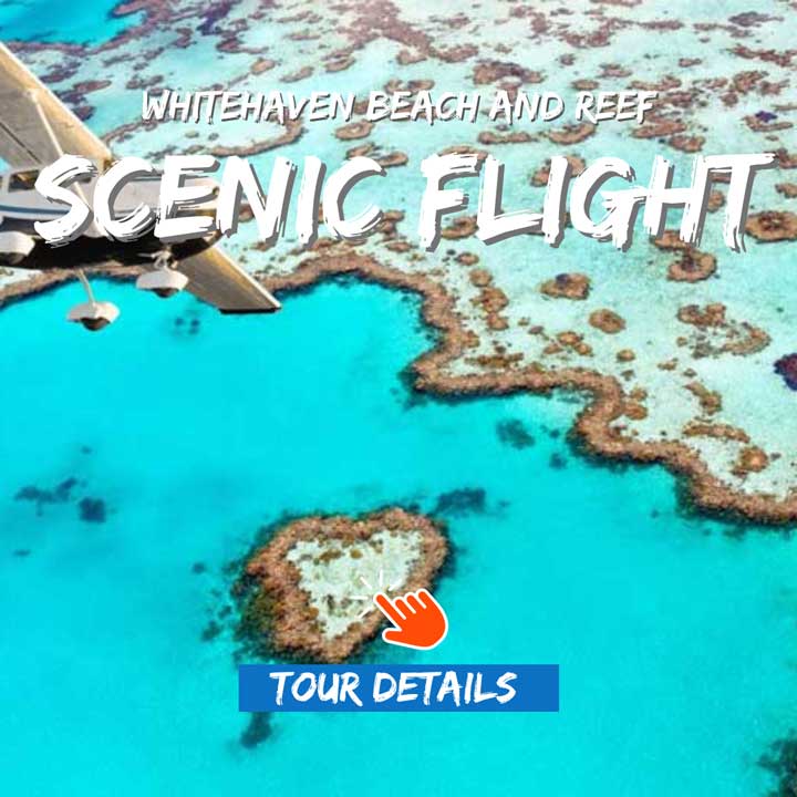 Scenic Flight plane flying over Whitehaven Beach, Heart Reef and Great Barrier Reef