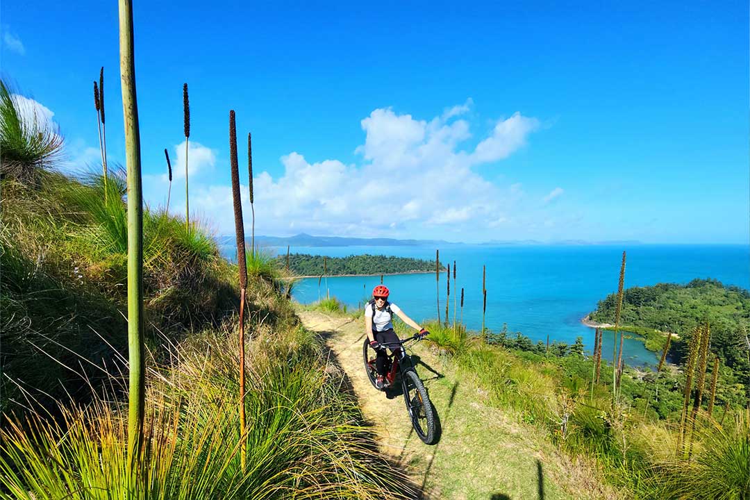 Mountain Bike Trail on South Molle Island