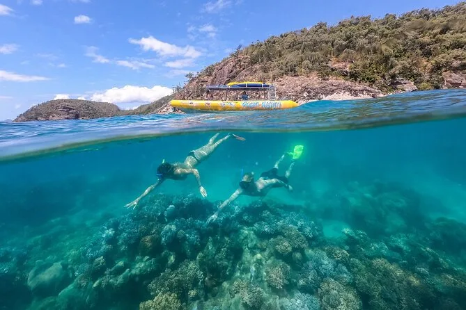 2 guests snorkelling on a coral reef in the Whitsundays