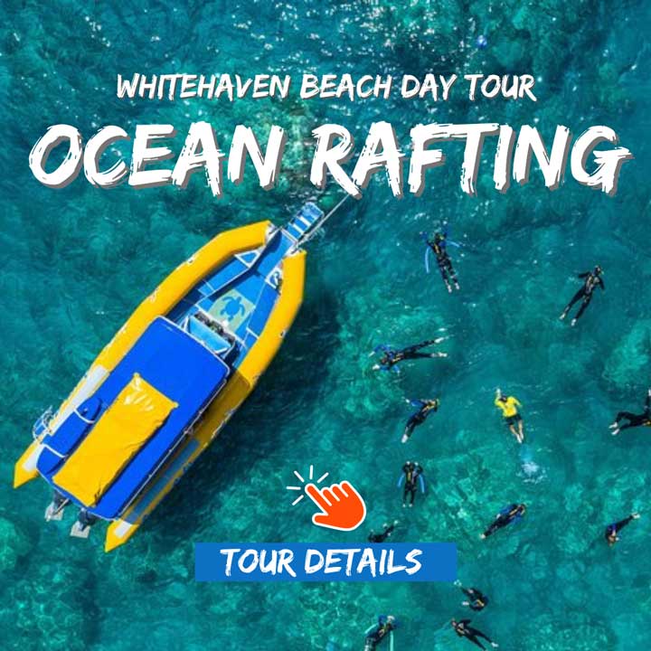 Ocean rafting yellow boat with tour guests snorkelling over coral reef