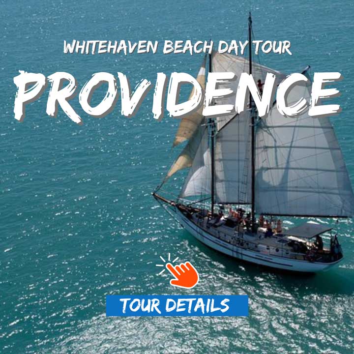 Providence sailing tour to Whitehaven Beach 1 day 