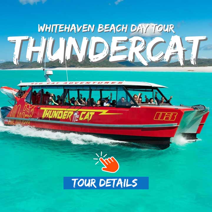 Thundercat Whitsundays red boat passing Whitehaven Beach with excited guests