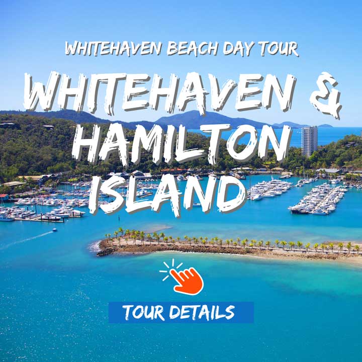 Visit Whitehaven Beach and Hamilton Island in 1 day from Airlie Beach with Cruise Whitsundays