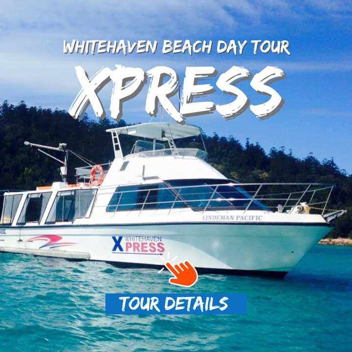 Whitehaven Xpress Day tour at Whitsunday Island