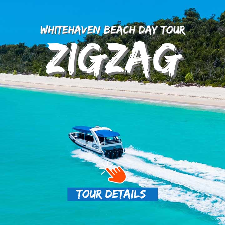 ZigZag Whitsundays Boat passing Whitehaven Beach 