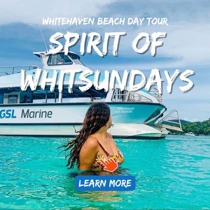 Spirit of Whitsundays Whitehaven Beach day tour