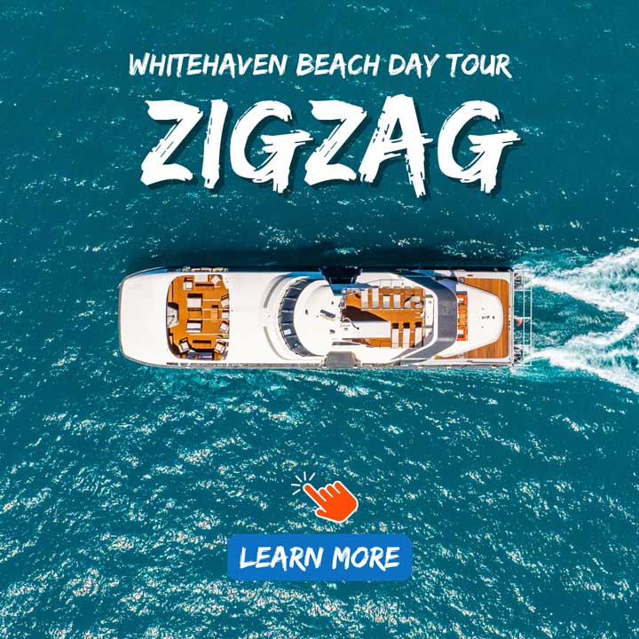 ZigZag Whitsundays Boat passing Whitehaven Beach 
